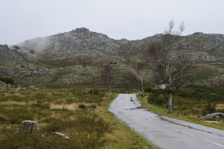 Road leading to the mountains. Green grass contrasting with yellow grass. Cloudy day. Freita mountain range. Portugal